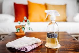 homemade upholstery cleaners