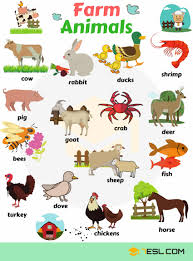 Animal Names Types Of Animals With List Pictures 7 E S L