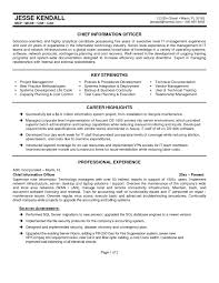 Executive Resume Samples   Sarah Cronin Consulting Foremost Resumes Business Consultant Resume Example Executive