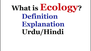 what is ecology with exles urdu