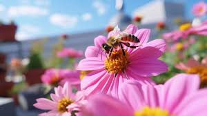 bee pollinating a bright pink flower