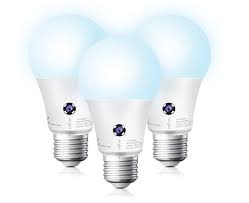 the best outdoor light bulbs to
