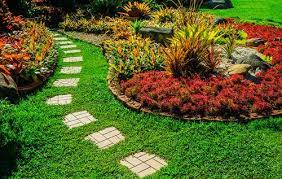 8 steps to start successful lawn care