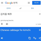 【韓国】Googleで『キムチ用白菜』を検索すると出てくる衝撃結果[10/05]