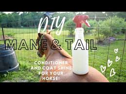 diy mane and tail detangler homemade