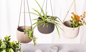 Hanging Wall Planters Small Hanging