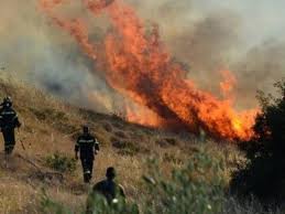 Κατασβέστη η φωτιά που εκδηλώθηκε στις 4 περίπου το μεσημέρι στην περιστέρα της δυτικής αχαΐας, έχοντας κάψει 10 στρέμματα γεωργικής . Pyrkagia Alfavita
