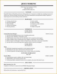 Professional Resume Samples Free Does Travel Writing Pay Writers