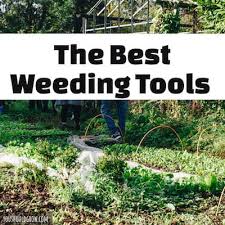 The Best Long Handled Weeding Tools