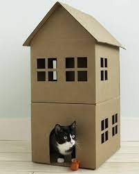 la maison de chat en carton en