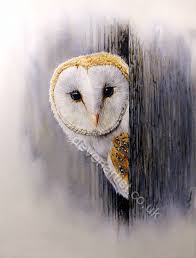 Putting Up A Barn Owl Box Owl Painting
