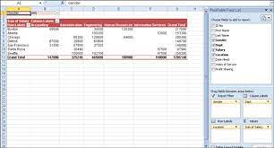 how to format an excel 2010 pivot table