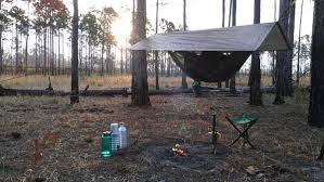 Free camping st augustine fl. Primitive Camping Unlimited In Ocala National Forest