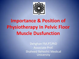 pelvic floor muscle dusfunction