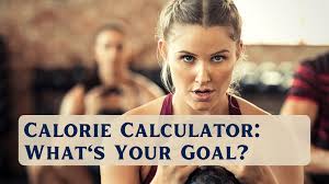 calorie calculator everything you need