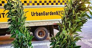 New York Garden Nurseries Still Open