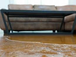 water damage repair for your living