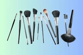 makeup brushes and their uses beginners