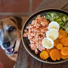salmon broccoli dog food recipe