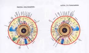 65 Always Up To Date Iridology Eye Chart Dr Morse