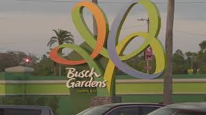 busch gardens ta bay will reopen to