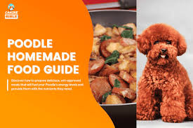 pug homemade dog food guide best