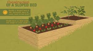 building vegetable garden beds yard