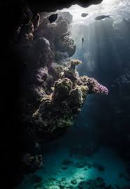 amazing lighting in underwater photos