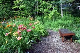 How To Design A Forest Garden Grocycle