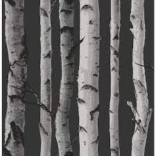 Fine Decor Distinctive Black Birch Tree