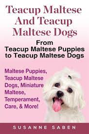teacup maltese dogs ebook