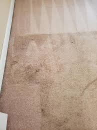 your local carpet cleaning in brandon