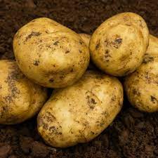 JBA Seed Potatoes gambar png