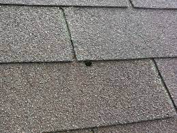 exposed nails can cause roof leaks