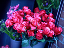 red roses bouquet beautiful flowers