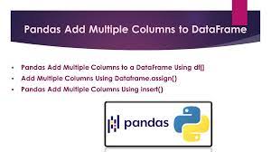 pandas add multiple columns to
