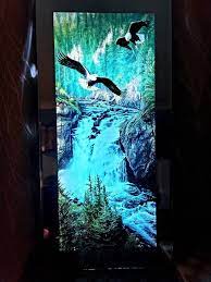 Hangingmotion Picture Waterfall Eagle