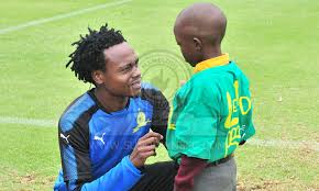 In the current club brighton played 1 seasons, during this time he played 7. Media Day Percy Tau Hyundai Handover Chloorkop Mamelodi Sundowns Official Website