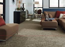 75 beautiful brown carpet home design