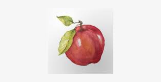 You'll work on perspective and depth when you sketch the basket. Watercolor Hand Drawn Apple Poster Apple Fruit Drawing Watercolor Transparent Png 400x400 Free Download On Nicepng