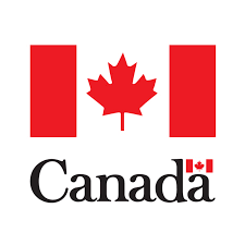Health canada oversees the federal government's jurisdictions in all areas of health care in canada and administers nationwide standards of medical service established in the canada health act. Canadian Cosmetic Notification Form Cfn Ce Way