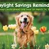 In doing so, our internal clock becomes out of synch or mismatched with our lovethispic offers remember clocks go forward tonight at 2am pictures, photos & images, to be used on facebook, tumblr, pinterest, twitter and. Https Encrypted Tbn0 Gstatic Com Images Q Tbn And9gctwklgsepcmaufaq4eko0mfibgscaypsmeb89luj0dzgjemgtrv Usqp Cau