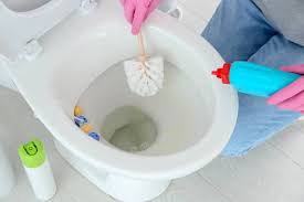 remove hard water stains from a toilet