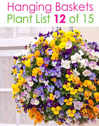 Our list of 10 best flowers for hanging. 15 Beautiful Flower Hanging Baskets Best Plant Lists A Piece Of Rainbow