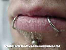 lip piercing jewelry axiom body