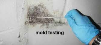 testing ysis for toxic black mold