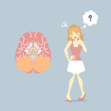 Find the perfect human internal organ stock illustrations from getty images. Woman Loss Her Memory With Human Brain Alzheimer Dementia Symptom Healthcare Concept Internal Organs Anatomy Body Part Nervous System Vector Illustration Cartoon Flat Character Design Clip Art Tasmeemme Com