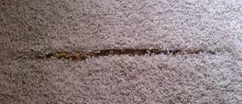 carpet repairs miracle carpets