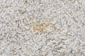 how to remove rust stains from carpet