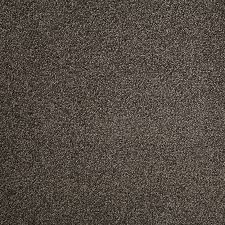 elementry galaxy cygnus 2024 carpet